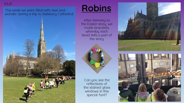 Robins  4.4.25 1.jpg