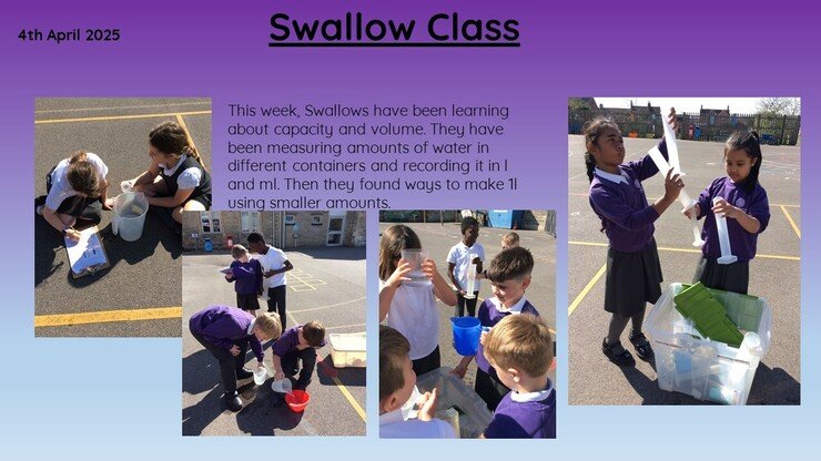 Swallow 4.4.25 1.jpg
