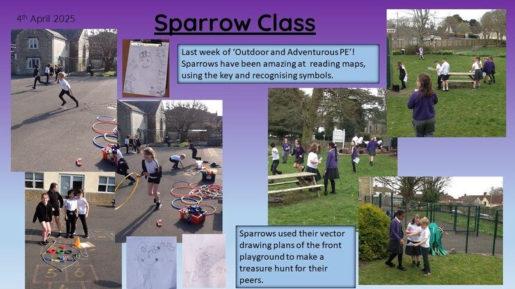 Sparrow 4.4. 25 1.jpg