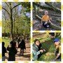 walk 4.jpg