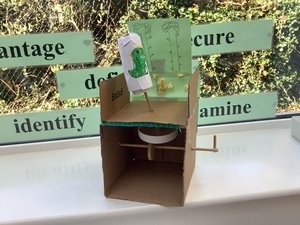 IMG_3726.JPG
