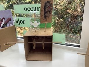 IMG_3732.JPG
