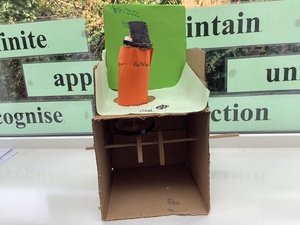 IMG_3736.JPG
