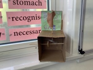 IMG_3740.JPG