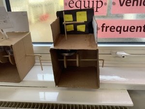 IMG_3750.JPG