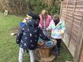 IMG_3537.JPG