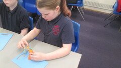 IMG_2530.JPG