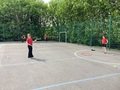 IMG_2231.jpeg
