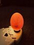 candling ducks3.jpg