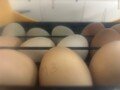 eggs.jpg