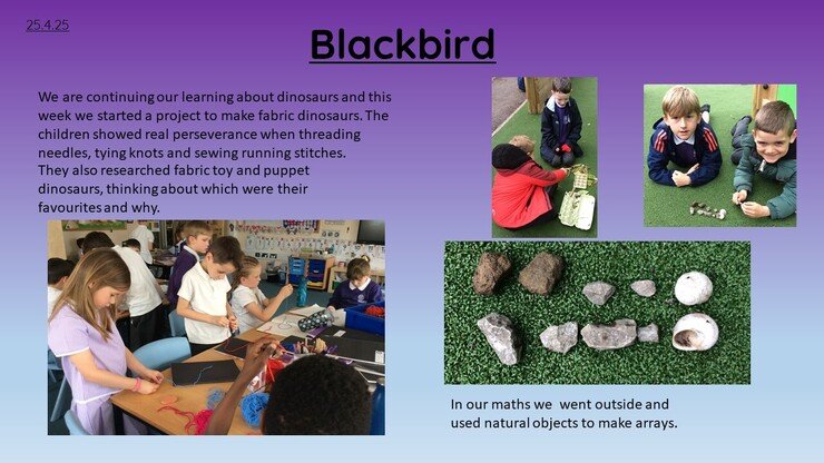 Blackbirds 25.4.25 1.jpg