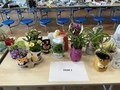 IMG_0014.jpeg