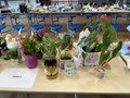 IMG_0015.jpeg