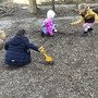 IMG_7045.JPG