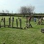 20250411_104450.jpg