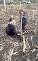 20250428_113200 - Copy.jpg