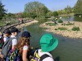 IMG_0302.jpg