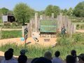 IMG_0332.jpg
