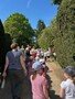 bluebell walk 2.jpg
