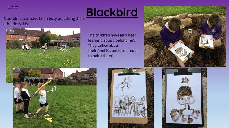 Blackbirds 2.5.25 1.jpg