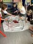 IMG_5141.jpeg