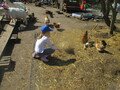 IMG_2769.JPG