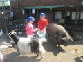 IMG_2781.JPG