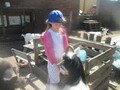 IMG_2784.JPG