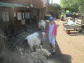 IMG_2788.JPG