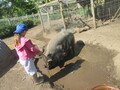 IMG_2812.JPG