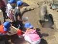 IMG_2815.JPG