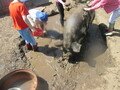 IMG_2818.JPG