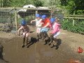IMG_2828.JPG