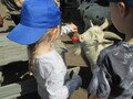 IMG_2831.JPG