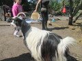 IMG_2842.JPG