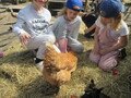 IMG_2848.JPG