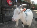 IMG_2854.JPG