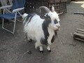 IMG_2857.JPG