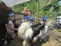 IMG_2864.JPG