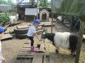 IMG_2879.JPG