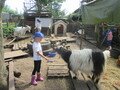 IMG_2881.JPG