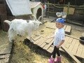 IMG_2884.JPG