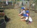 IMG_2888.JPG