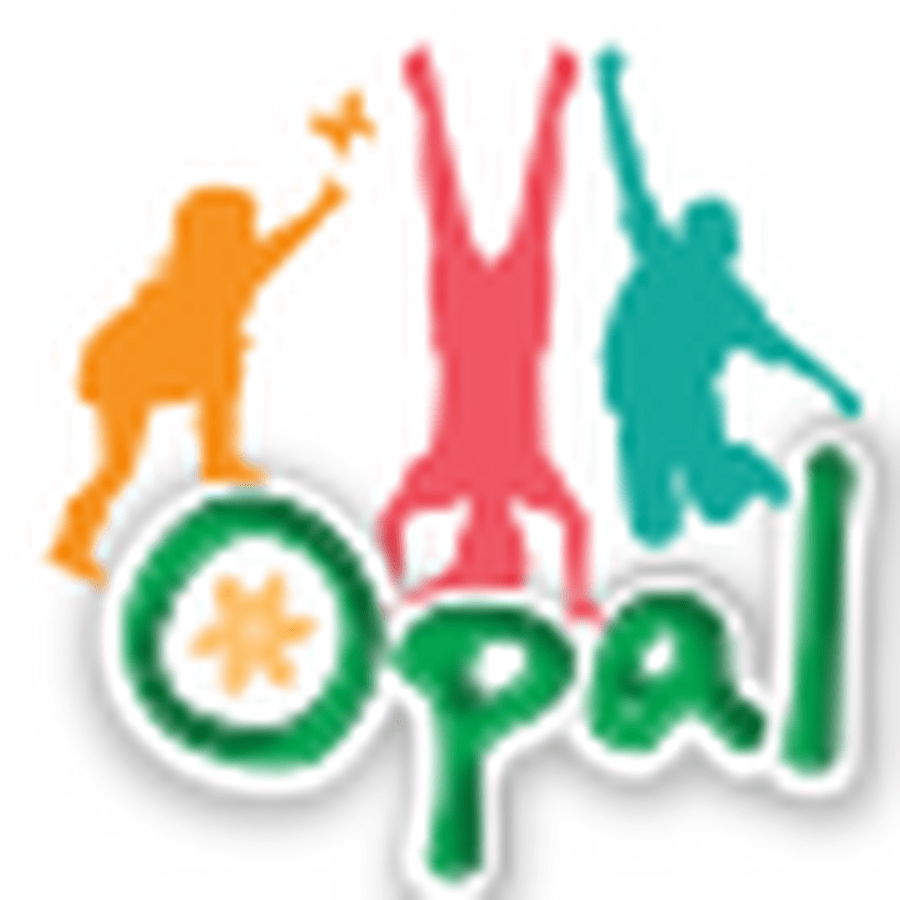 Click here to see OPAL in action at other schools