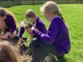 ECO Team planting SG (5).jpeg