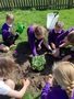 ECO Team planting SG (6).jpeg