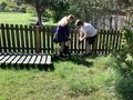 ECO Team planting SG (4).jpeg