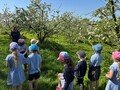 Orchard.jpg