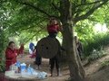 IMG_5218.jpeg