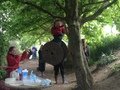 IMG_5219.jpeg